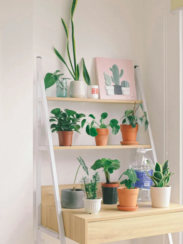 pexels-huy-phan-316220-2934084